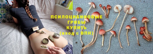 винт Богородицк