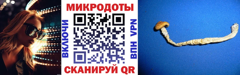 Купить где Колпашево Псилоцибиновые грибы прущие грибы
